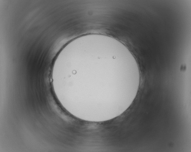 X0000113170098200910161317