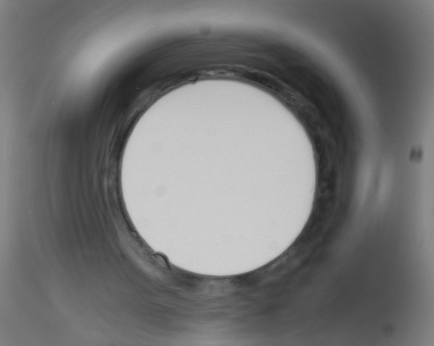 X0000113170099200910161317