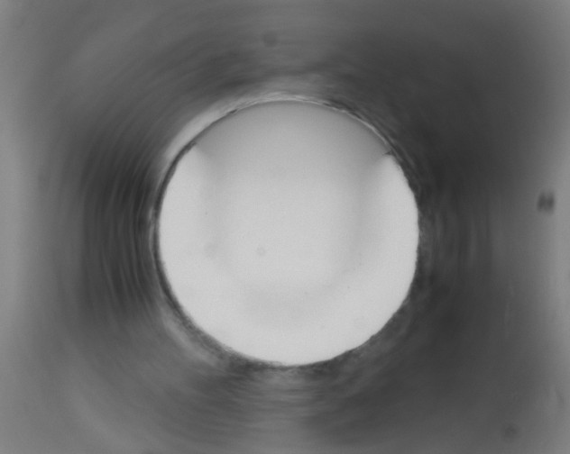 X0000113170100200910161317