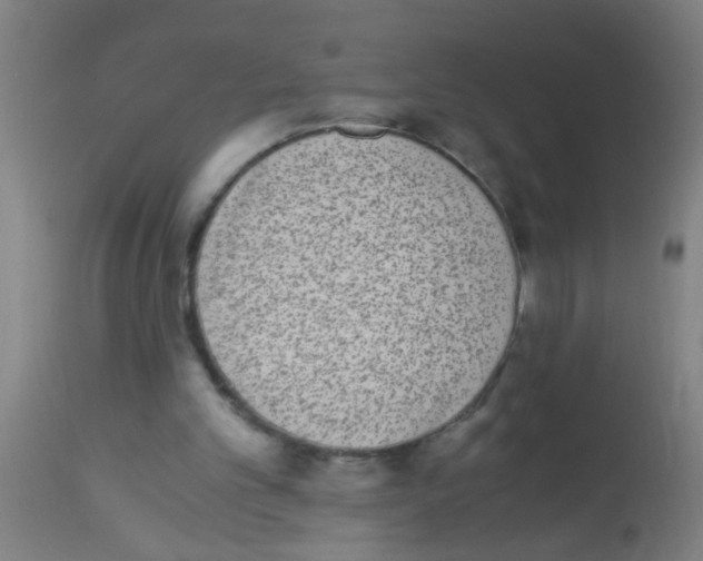 X0000113170101200910161317