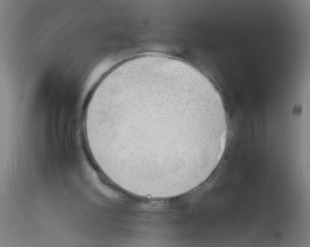 X0000113170102200910161317
