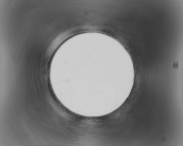 X0000113170103200910161317