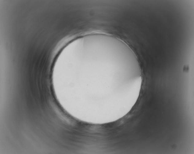 X0000113170104200910161317