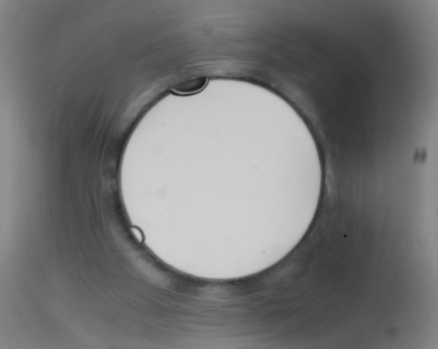 X0000113170105200910161317