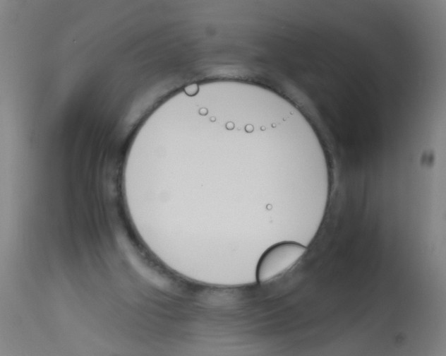 X0000113170106200910161317