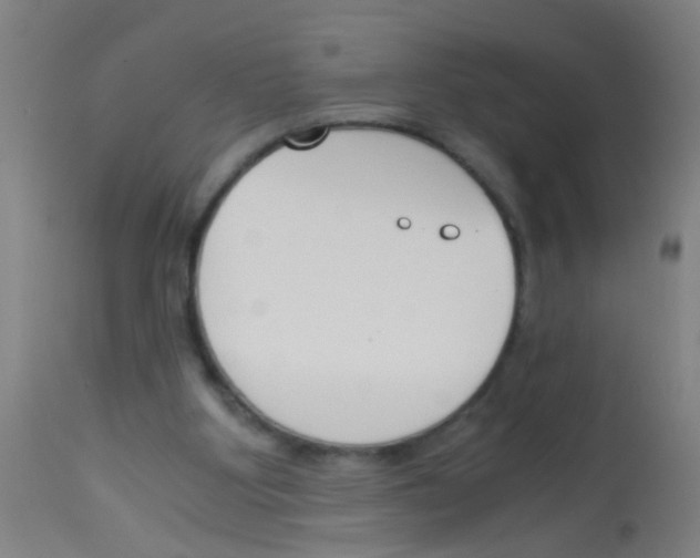 X0000113170107200910161317