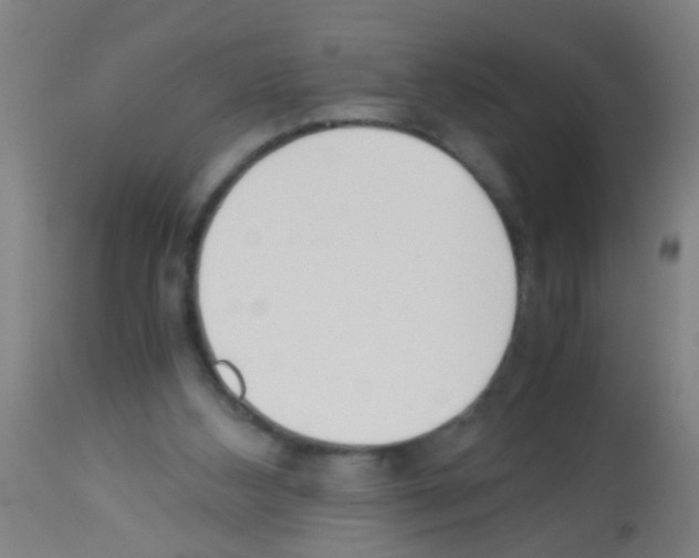 X0000113170108200910161317