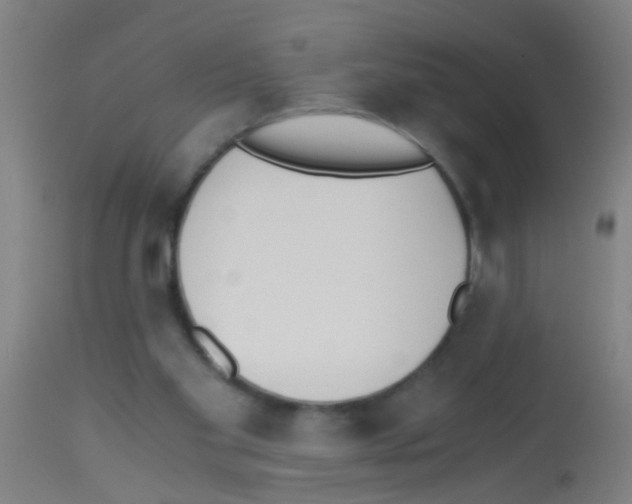 X0000113170109200910161317
