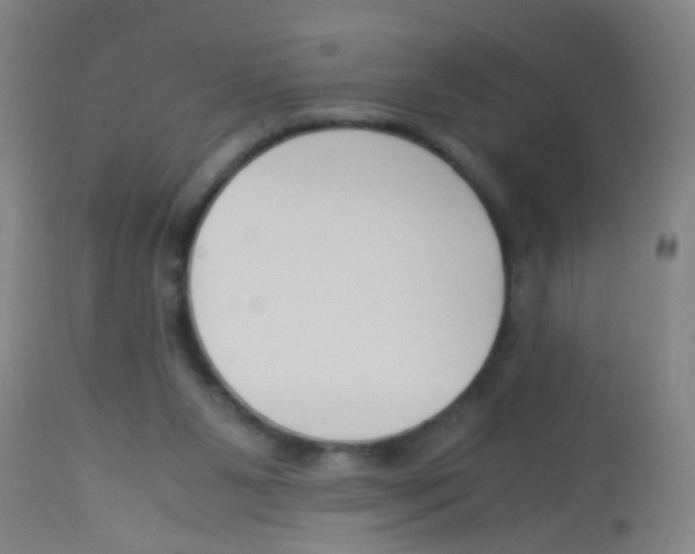 X0000113170111200910161317