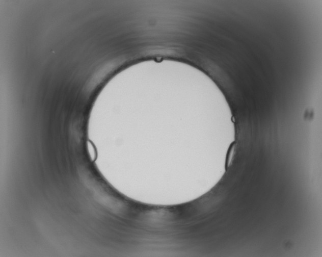 X0000113170112200910161317
