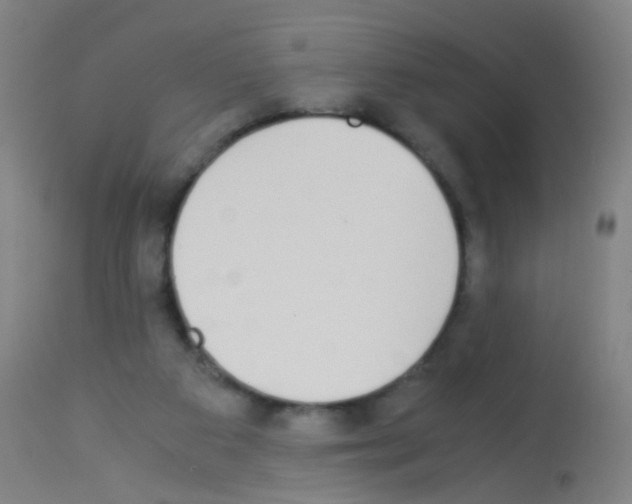 X0000113170113200910161317