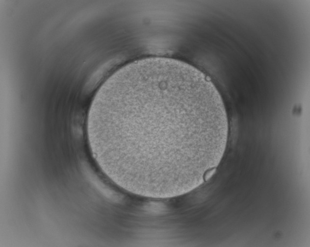 X0000113170114200910161317