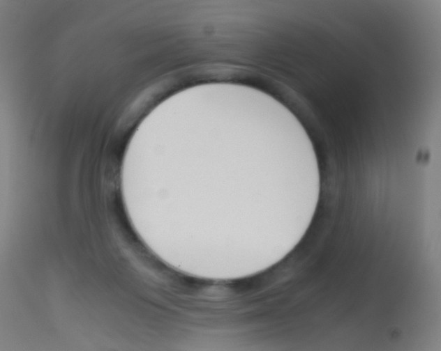 X0000113170119200910161317