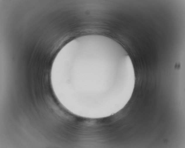 X0000113170120200910161317