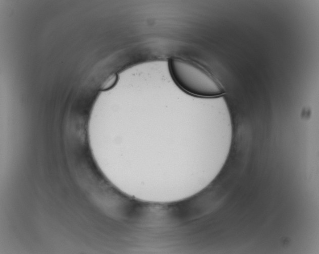 X0000113170121200910161317