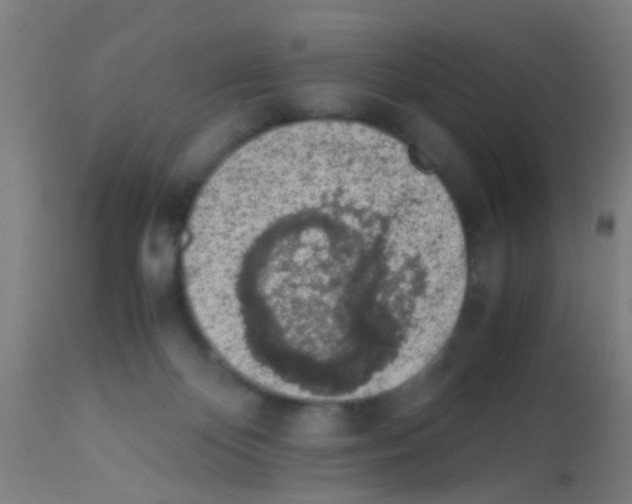 X0000113170124200910161317