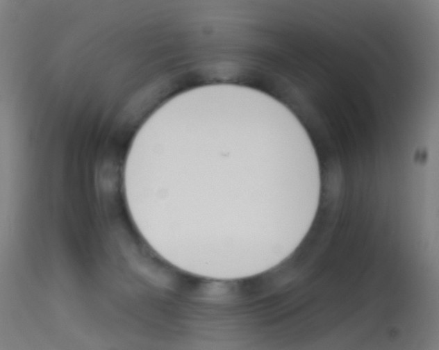 X0000113170126200910161317