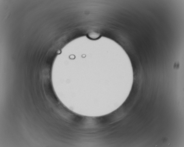 X0000113170127200910161317