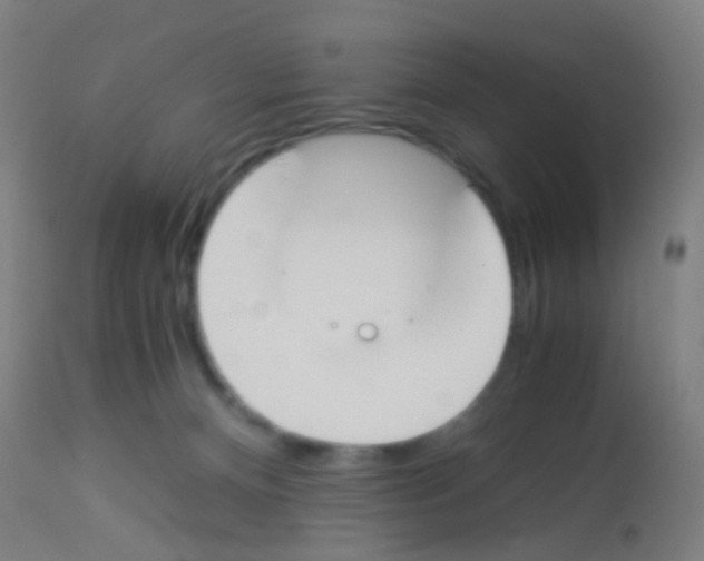 X0000113170128200910161317