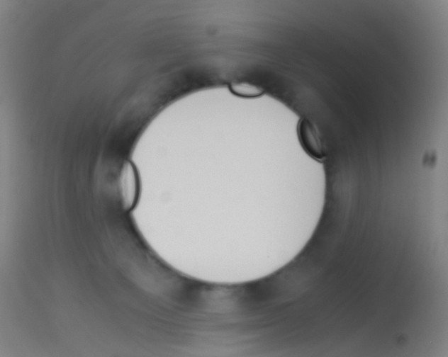 X0000113170129200910161317