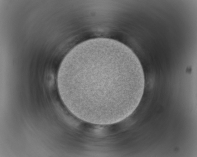 X0000113170130200910161317