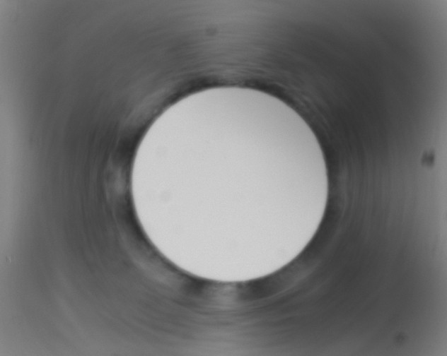 X0000113170131200910161317