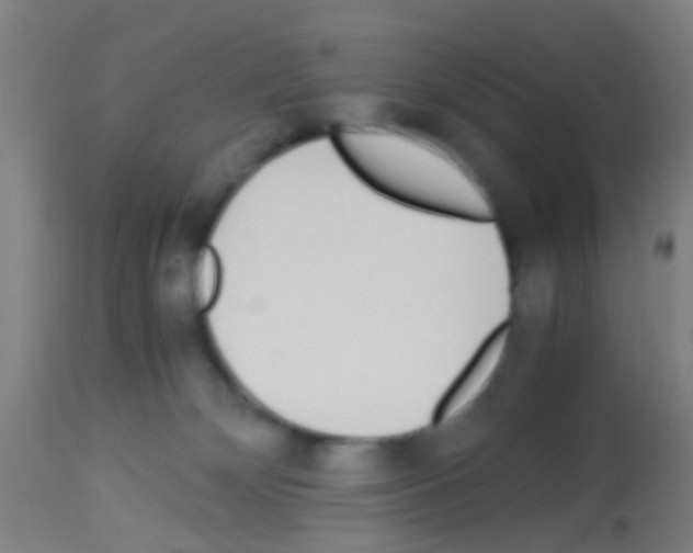X0000113170132200910161317