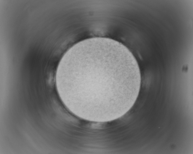 X0000113170134200910161317