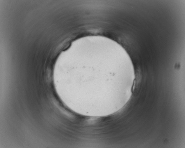 X0000113170136200910161317