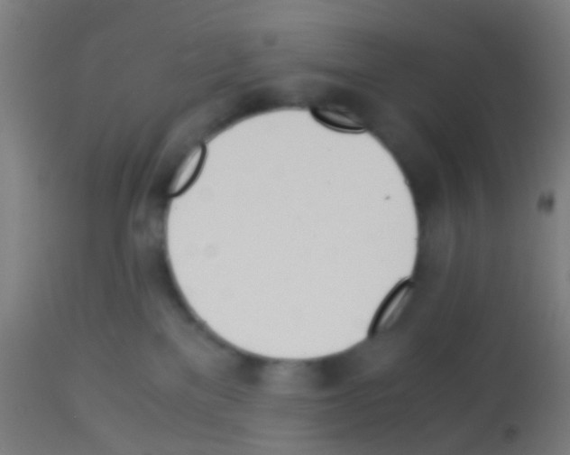 X0000113170137200910161317