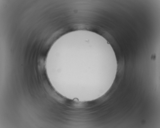X0000113170142200910161317