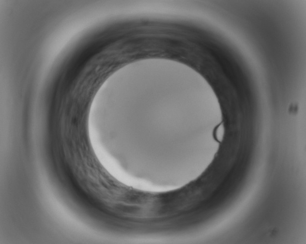 X0000113170143200910161317
