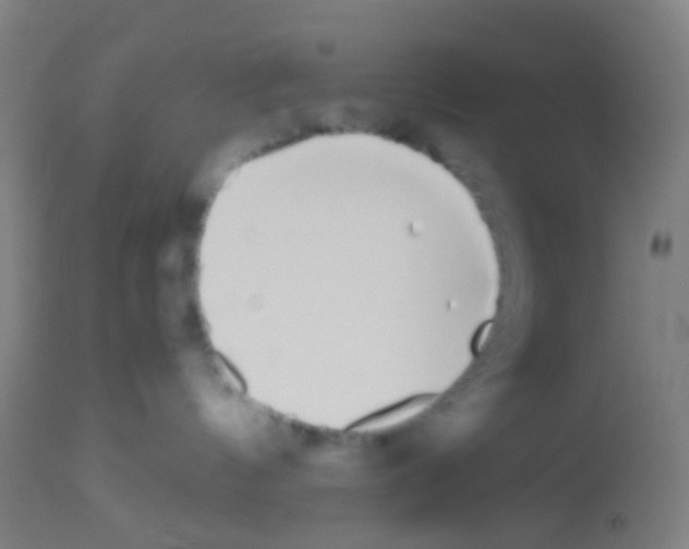 X0000113170144200910161317