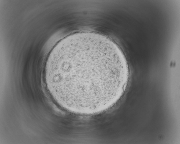 X0000113170145200910161316