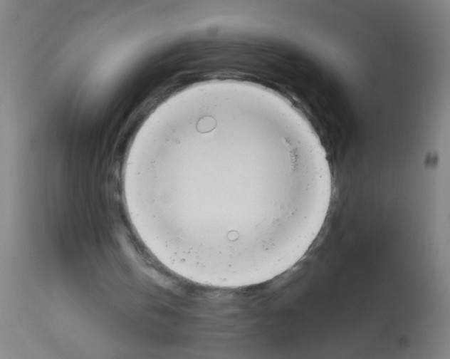 X0000113170146200910161316