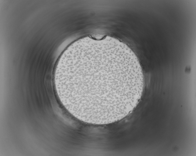X0000113170147200910161316