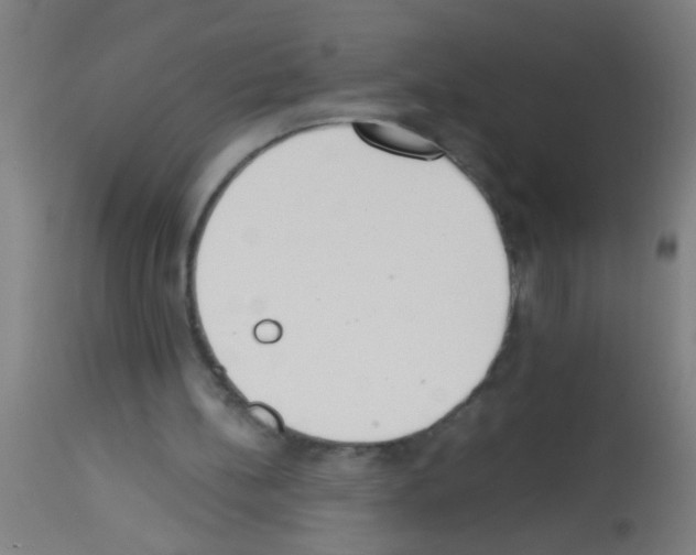 X0000113170148200910161316