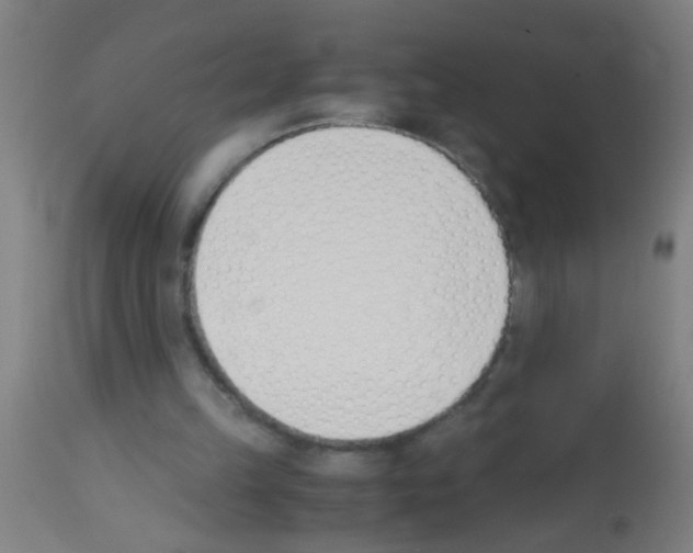 X0000113170149200910161316