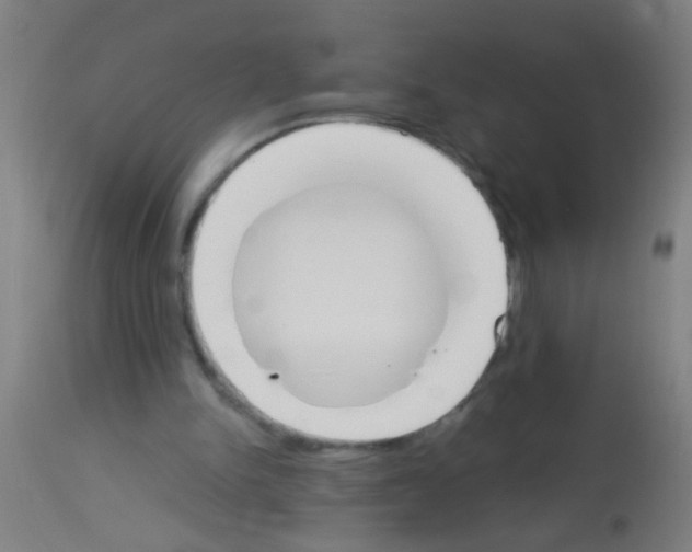 X0000113170150200910161316