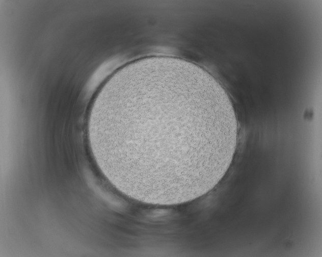 X0000113170151200910161316