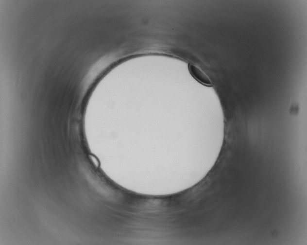 X0000113170152200910161316