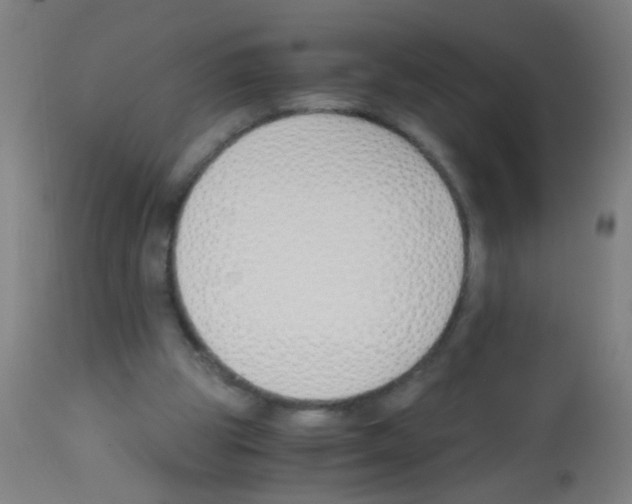 X0000113170153200910161316