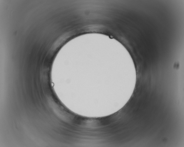 X0000113170154200910161316