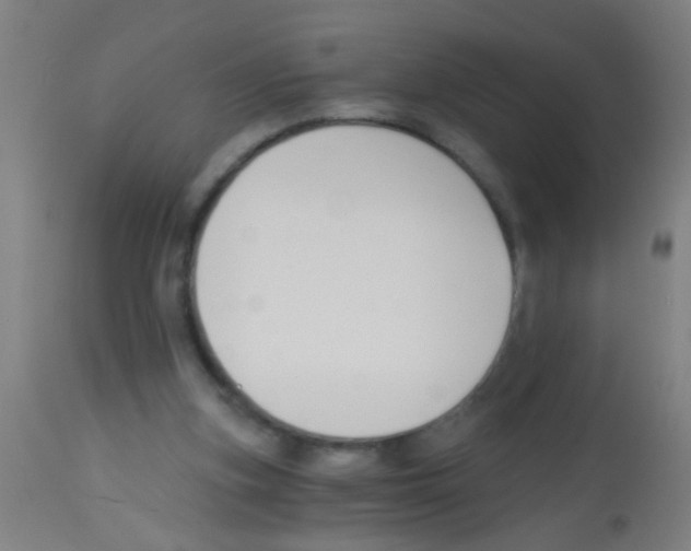 X0000113170155200910161316