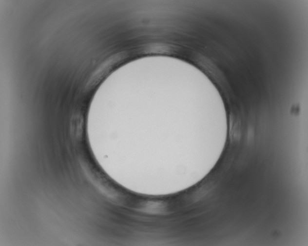 X0000113170157200910161316
