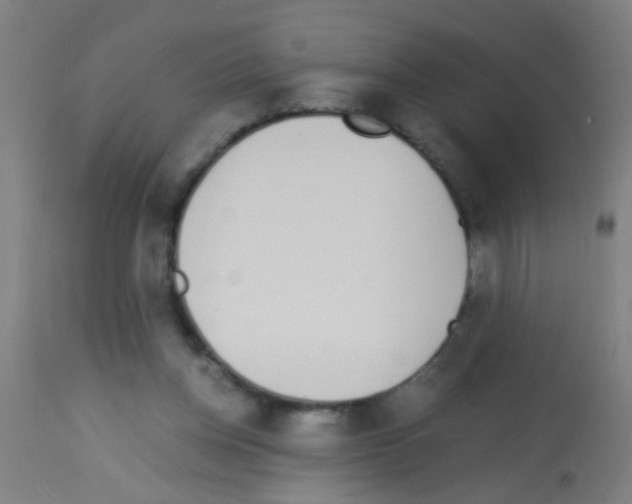 X0000113170158200910161316