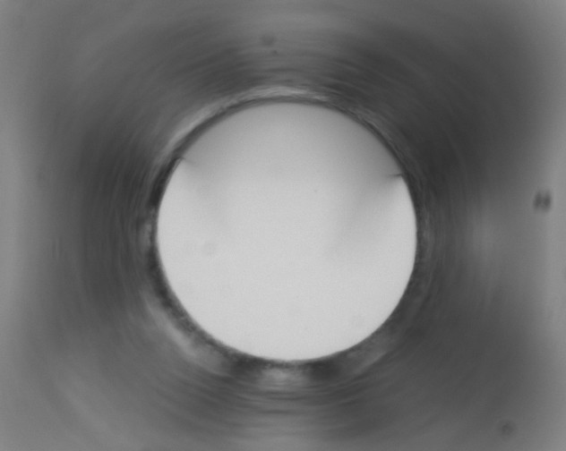X0000113170160200910161316