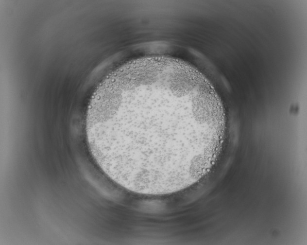 X0000113170161200910161316