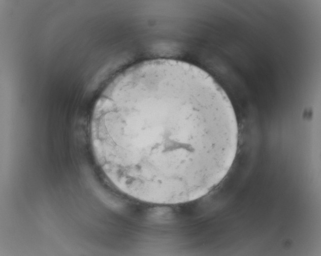 X0000113170162200910161316