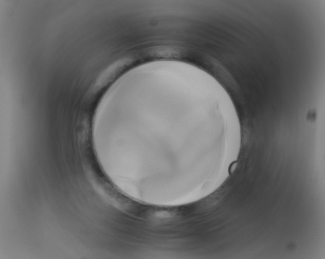 X0000113170163200910161316